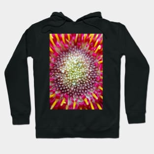 Burst Hoodie